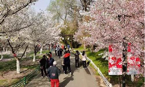 北京玉渊潭公园樱花节开放时间_北京玉渊潭樱花节门票多少钱