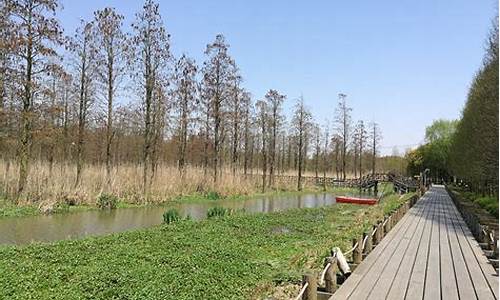 青西郊野公园景色介绍,青西郊野公园