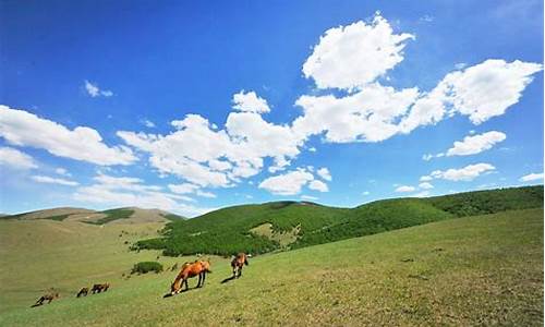 丰宁坝上草原旅游攻略2天自驾游_丰宁坝上