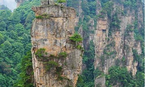 张家界旅游攻略带孩子自由行的地方,张家界