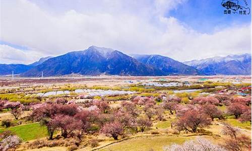 林芝旅游攻略3至4天住宿多少钱合适_林芝