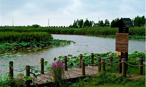 上海湿地公园门票多少钱一张,上海 湿地