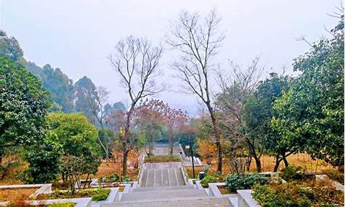 成都市凤凰山公园寺庙_成都市凤凰山公园