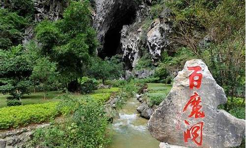 南宁的巴马有什么景点,南宁巴马旅游景点