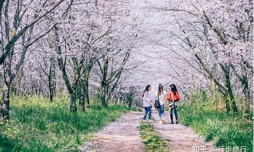 春天旅游拍照穿什么衣服图片,春季旅游景点拍照