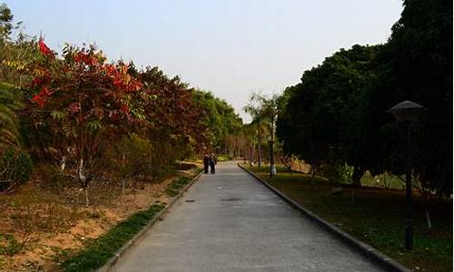 广州龙头山森林公园门票价格多少_广州龙头山森林公园门票价格