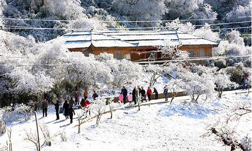 重庆旅游景点推荐冬季景区,重庆旅游景点推荐冬季