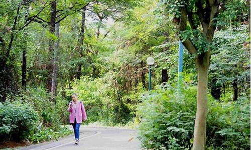 马鞍山森林公园在哪里停车_马鞍山森林公园在哪