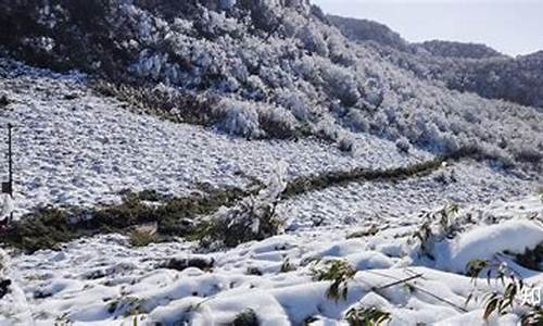 重庆到金佛山路线怎么走最好的路线,重庆到金佛山路线怎么走最好