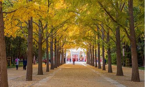 北京公园,北京公园年票