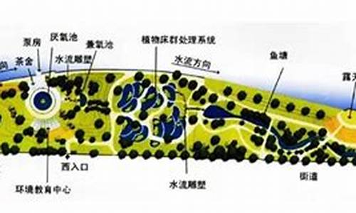 活水公园净水原理,活水公园净水原理化学角度