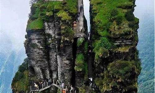 遵义到梵净山一日游旅行社,遵义到梵净山旅游攻略路线