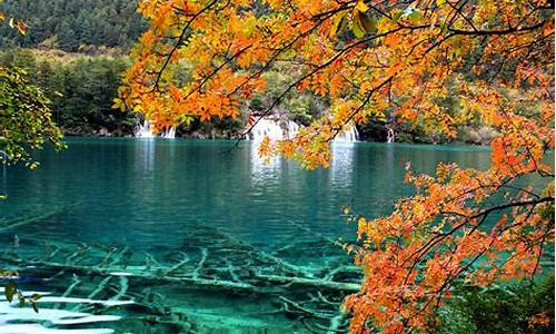 九寨沟旅游景点天气预报_九寨沟旅游景点天气预报查询