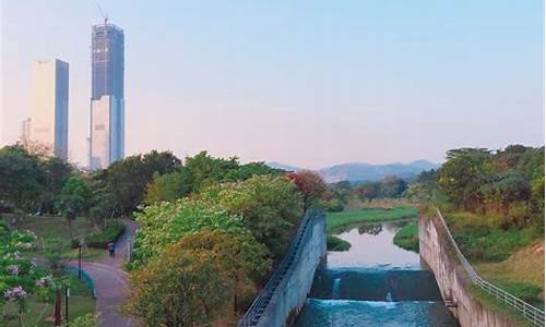 福田中心公园野餐时间,福田中心公园野餐