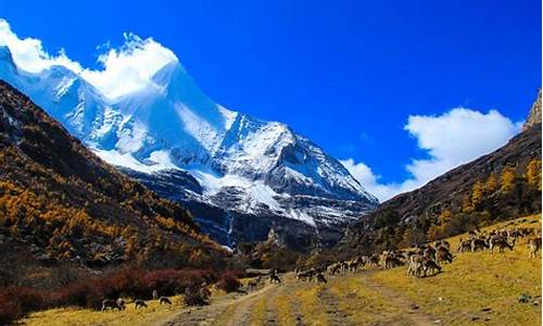 稻城亚丁景区景点介绍_稻城亚丁旅游攻略景点必去