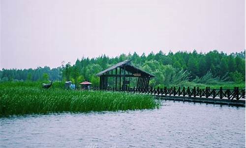 上海到泰州溱湖湿地公园两日游路线,上海到泰州溱湖湿地公园两日游