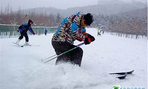 大连劳动公园滑雪场_大连劳动公园滑雪场门票