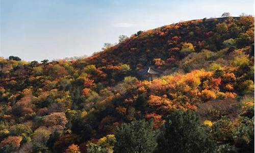 北京最美原始森林,北京原始森林公园