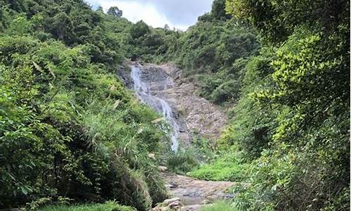 马峦山郊野公园攻略一天_马峦山郊野公园游览图