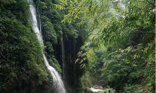 重庆黑山谷旅游攻略美景_重庆旅游景点黑山谷