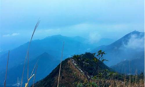 梧桐山旅游景点简介,梧桐山旅游攻略推荐路线一日游