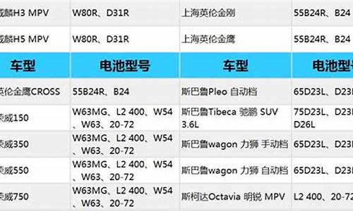 电瓶的规格和参数表-汽车蓄电池参数解读