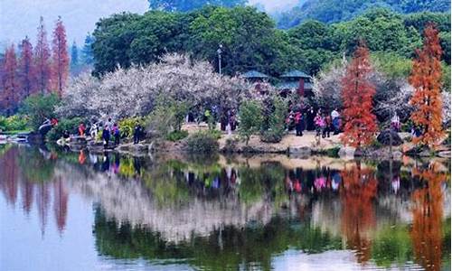 广州春季旅游景点-广州春游去哪玩推荐地点