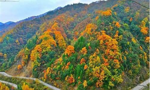 光雾山旅游路线图攻略-光雾山旅游攻略三日游路线