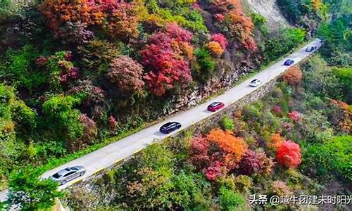 翠华山旅游攻略一日游-翠华山旅游攻略一日游