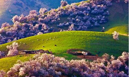 新疆春季旅游攻略最新版本下载,新疆春季旅