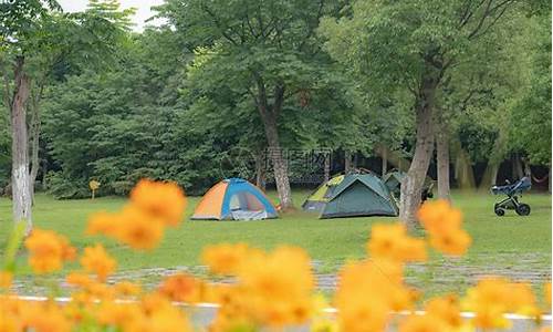 森林公园在哪里搭帐篷,森林公园可以露营吗